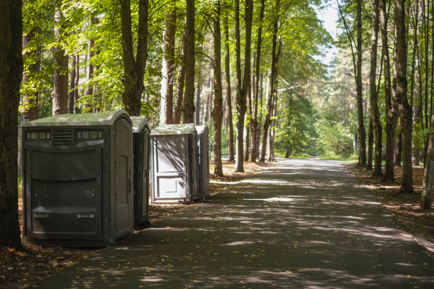 Seasonal Cleanup (Spring/Fall) in Diamond Ridge, AK